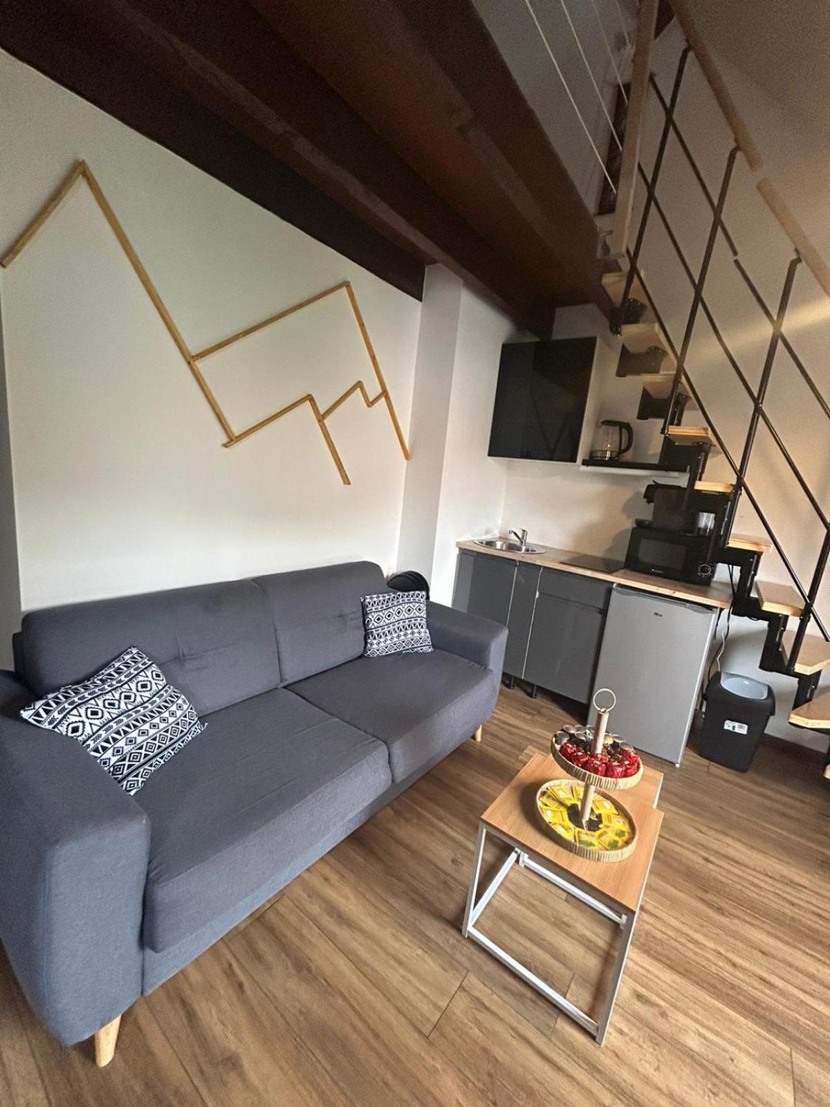 Reve Divin T4 Avec Parking-barbecue-laverie-bagagerie-salle De Sport-aire De Jeux-climatise Appartement Lourdes